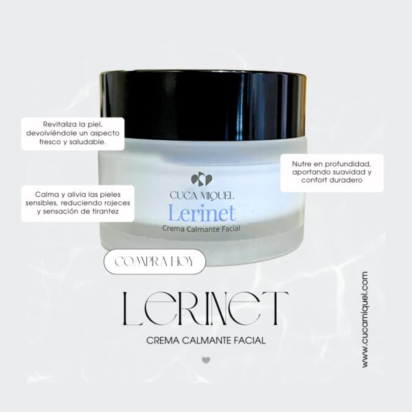 Lerinet - Imagen 2