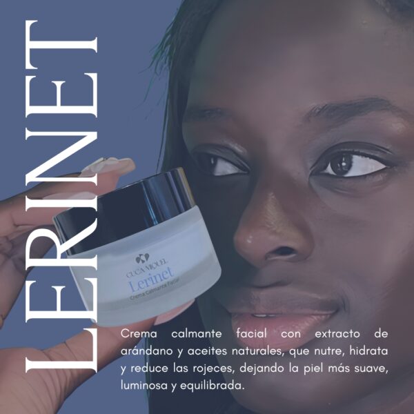Lerinet - Imagen 3